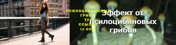 прущие крисы Верхний Тагил