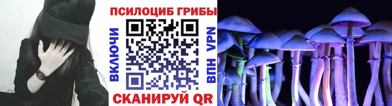 Купить  Певек  Галлюциногенные грибы Magic Shrooms 
